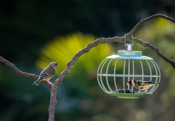 Exposition de photographie