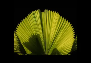 Exposition de photographie