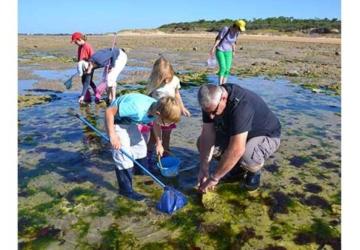 Pêche à pied écologique estran rocheux_Dolus-d'Oléron