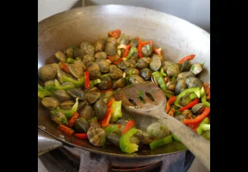 La Rabale_Marennes-Hiers-Brouage