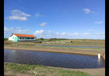 Les Perles du Marais - Tom Vergnaud_Marennes-Hiers-Brouage