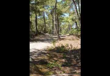 Chasse aux trésors ONF - Les secrets des palissades - Saint-trojan-les-Bains_Saint-Trojan-les-Bains