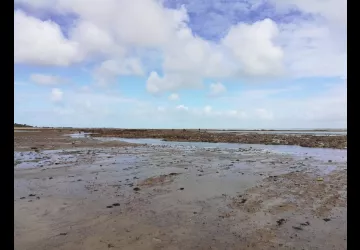 Vivre avec les aléas climatiques sur l'île d'Oléron 