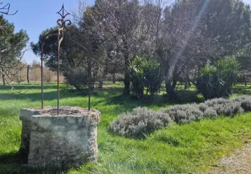 Domaine La Cabane_Saint-Pierre-d'Oléron