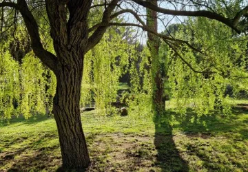 Domaine La Cabane_Saint-Pierre-d'Oléron