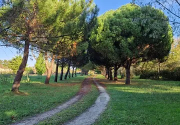 Domaine La Cabane_Saint-Pierre-d'Oléron