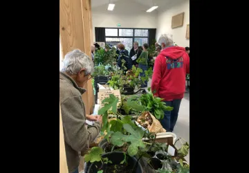 Bourse aux plantes_Le Grand-Village-Plage