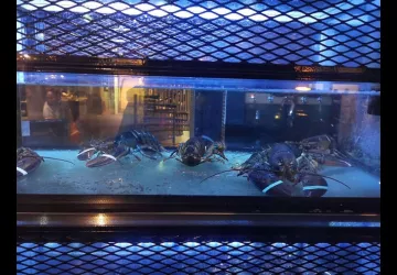 Les Viviers de la Saurine