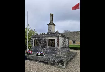 Cérémonie du 11 Novembre