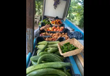 Au rythme des lombrics GAEC_Dolus-d'Oléron