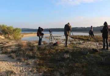 Sortie comptage : Marais de la Boirie_Dolus-d'Oléron