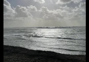 Maison de charme avec 2 vélos_Le Château-d'Oléron