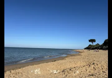 Meublée de Mr et Mme  Dervieux : Paulette_La Brée-les-Bains