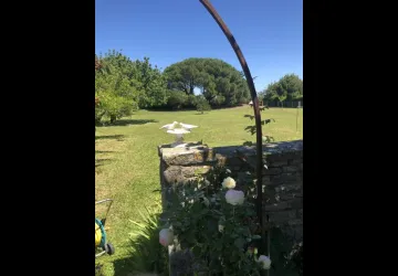 Meublée de Mr et Mme  Dervieux : Paulette_La Brée-les-Bains