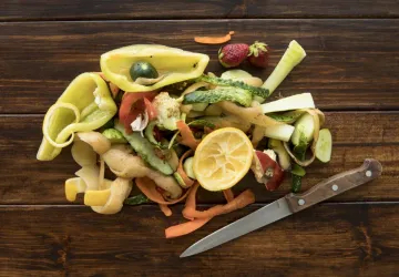 Atelier comment réutiliser ses déchets de table