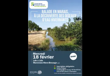 Sortie nature_Marennes-Hiers-Brouage