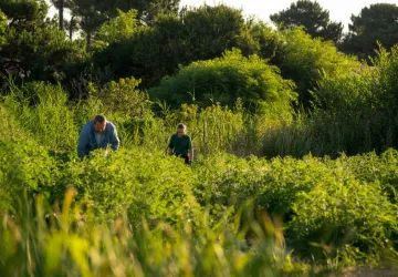 Visite et atelier aux jardins de l'APO_Saint-Trojan-les-Bains