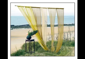 Ateliers teinture végétale