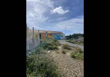 Marché artisanal du Mimosa_Saint-Trojan-les-Bains