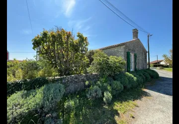 Le Clos des Agapanthes