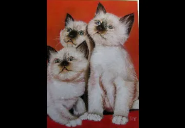 Exposition de peinture - Pauline Chouteau_Saint-Pierre-d'Oléron