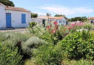 Semaine de l'Arbre et du Paysage : Sur les pas d'une "Ville Jardin" au Château-d'Oléron