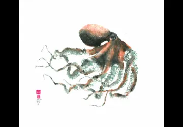 Grand poulpe couleur