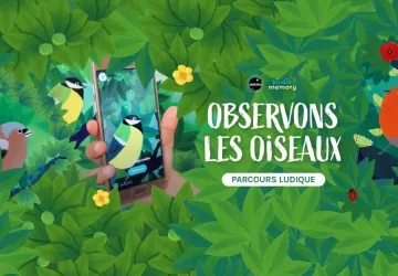 « BIRDIE MEMORY : écouter les oiseaux »_Saint-Georges-d'Oléron