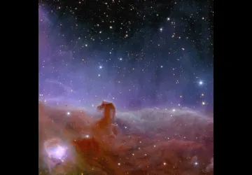 Nébuleuse de la Tête de Cheval