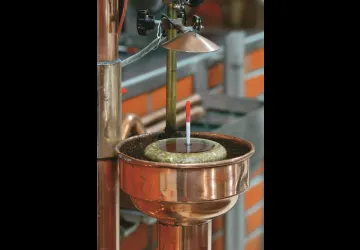 Vignoble Maxime PINARD_La Brée-les-Bains