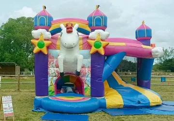 Portes Ouvertes de l'Apac (association de protection des ânes et des chevaux)