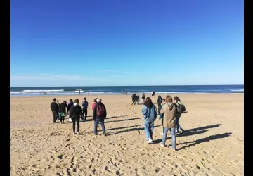 Curieuse laisse de mer