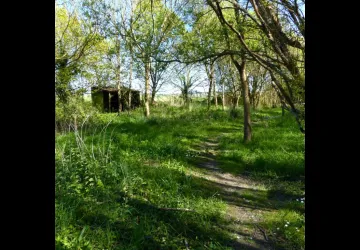 Parcours Legendr nature_Saint-Sornin