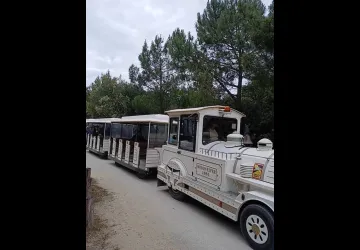 Le petit train des plages de Boyardville_Saint-Georges-d'Oléron