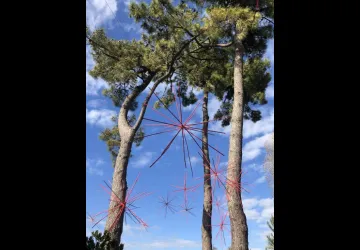 Atelier 7-12 ans "C'est quoi cette oeuvre ?"_Le Grand-Village-Plage