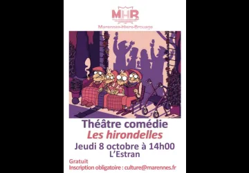 Les hirondelles_Marennes-Hiers-Brouage